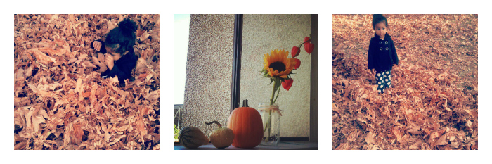 Autumn Instagram Challenge