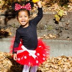 Minnie Mouse costume tutu